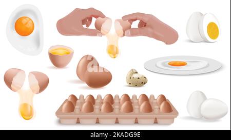 Eggs cook realistic icon set fried hard boiled raw eggs in hand and in shells packaged eggs vector illustration Stock Vector