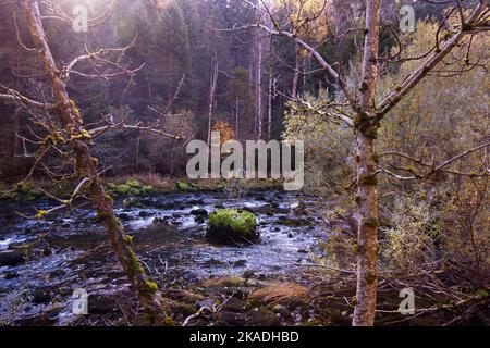 Scenic autumn landscape of Gorges de l'Areuse, Noirague, Neuchatel, Switzerland, Europe. Beautiful romantic magical autumn river with mossy boulders a Stock Photo