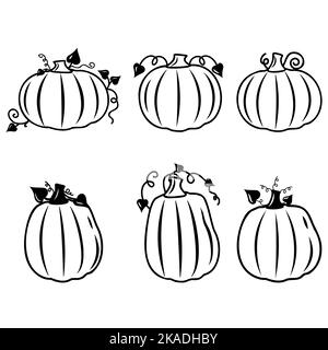 Autumn vegetable pumpkin, black outline, vector isolated illustration in doodle style. Stock Vector