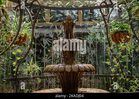 Wroclaw, Poland - August 19, 2022: A stone fountain and green tropical plants in Bird Pavillon in the Zoological Garden in Wroclaw. Stock Photo