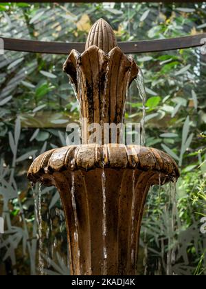 Wroclaw, Poland - August 19, 2022: A stone fountain and green tropical plants in Bird Pavillon in the Zoological Garden in Wroclaw. Stock Photo