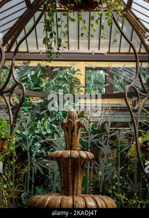 Wroclaw, Poland - August 19, 2022: A stone fountain and green tropical plants in Bird Pavillon in the Zoological Garden in Wroclaw. Stock Photo