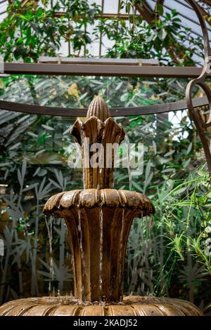 Wroclaw, Poland - August 19, 2022: A stone fountain and green tropical plants in Bird Pavillon in the Zoological Garden in Wroclaw. Stock Photo