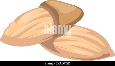 Almond cartoon icon. Healthy diet raw nut Stock Vector