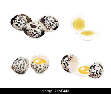 Realistic set of whole and cracked raw and boiled quail eggs isolated on white background vector illustration Stock Vector