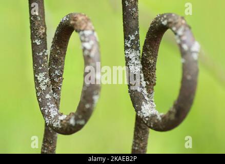 two rusty spiral metal bars in green background Stock Photo
