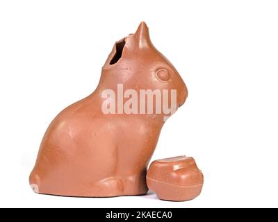Broken chocolate bunny in front of white background Stock Photo