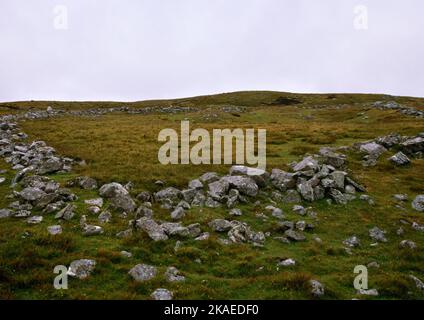 View NE of a Neolithic field outlined by walls of cleared stone: part of an extensive settlement at Scord of Brouster, Shetland, Scotland UK. Stock Photo