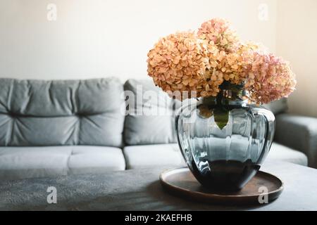Beautiful bouquet of dry pastel hydrangeas in gray glass vase at home interior near sofa in living room. Close up. Stock Photo