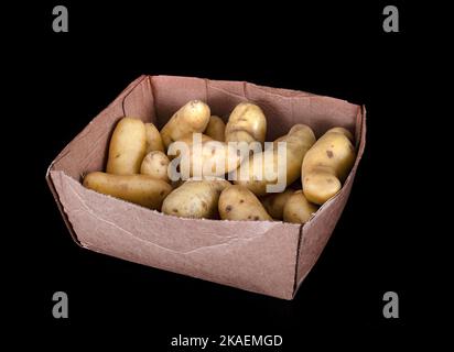 Ratte potato in front of black background Stock Photo