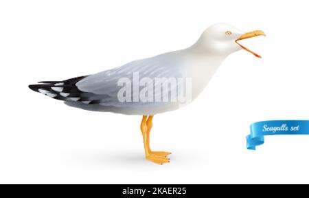 Crying seagull realistic composition with isolated image of sea bird with open beak on blank background vector illustration Stock Vector