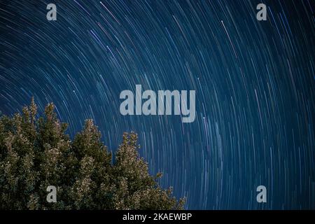 Stars move around a polar star. Star trails in the blue night sky. Stock Photo