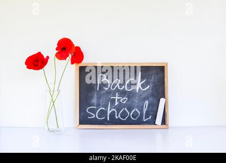 Back to school background. Words on the white lightbox. Stock Photo