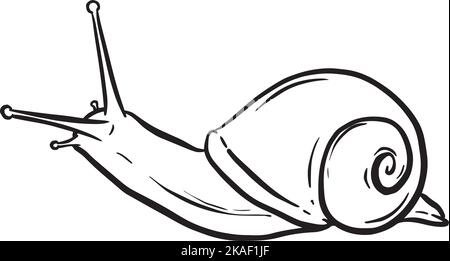 Line Art Outline of a Garden Snail with Shell for Logo or Mascot Design ...