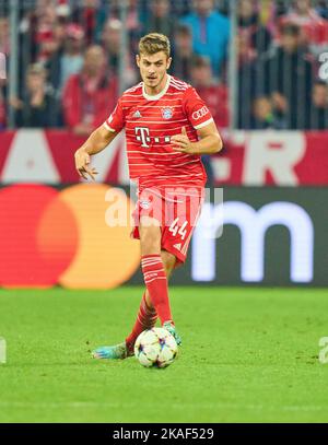 Munich, Germany. 01st Nov, 2022. Josip STANICIC, FCB 44 in the match FC BAYERN MUENCHEN - INTER MAILAND 2-0 of football UEFA Champions League, group stage, group C, match day, in season 2022/2023 in Munich, Nov 1, 2022. Gruppenphase, FCB Credit: Peter Schatz/Alamy Live News Stock Photo