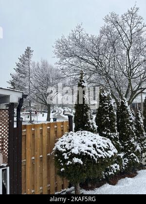 Snow-covered trees and residential houses on a gloomy winter day Stock ...