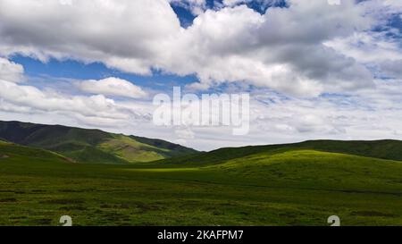 An elevation of a large green garden with white and blue cloud Stock Photo