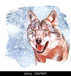 wolf in winter. Snowflakes all around and in his fur. Vector in low poly style. Stock Vector