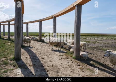 View on the Terp fan de Takomst. An initiative of the village of Blije, Sense of Place and other parties to emphasize the long connection with the sea Stock Photo