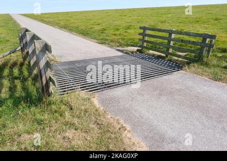 Cattle grid or cattle guard on a seawall to prevent livestock from passing along a road which penetrates the fencing surrounding an piece of land Stock Photo
