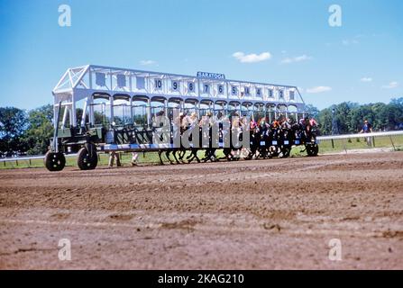 Start of Horse Race, Saratoga Springs, New York, USA, Toni Frissell Collection, August 1960 Stock Photo