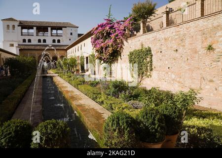 Mixed plants in border and Bougainville - Bougainvillea flowers in the Generalife garden courtyard on the Alhambra palace grounds, Granada, Spain. Stock Photo