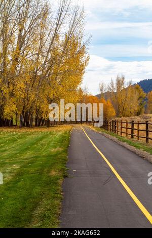 A two-lane bike path in Sun Valley, Idaho, United States, leads toward a grove of trees with pretty yellow and orange fall foliage in October. Stock Photo