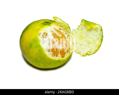 Unripe tangerine. Peeling a tangerine. Green fruit on a white background. Sour ingredient. Citrus isolate. Useful fruit. Stock Photo