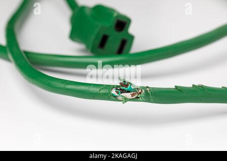 Electrical extension cord wiring damage from mice. Rodent control, mouse infestation and home repair concept. Stock Photo