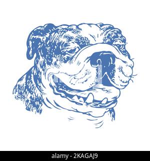 English bulldog vector. Dog T shirt design. Print it in High resolution. Puppy png svg formats. Pet drawing print for Hoodie, Sweatshirt Stock Vector