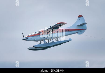 A Kenmore Air DHC-3 de Havilland Otter on approach to land in the harbour at Victoria, British Columbia, Canada. Stock Photo