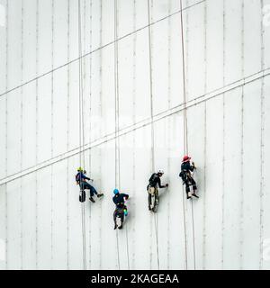 A team of abseiling workers in blue suits hanging on ropes by the wall of industrial building carry out the cleaning work. Stock Photo