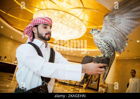 Doha, Qatar, May 01,2022 :  Arabian Falcon with leather hood On Falconer's Glove. Stock Photo