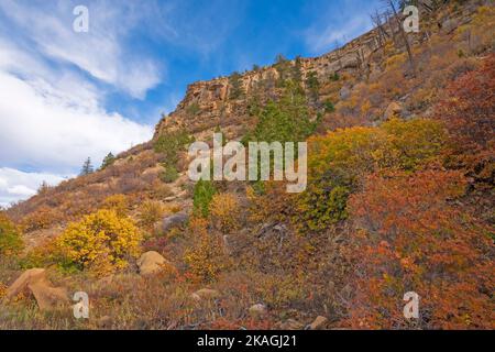 Autumn Colors on an Arid Mesa in Mesa Verde National Park in Colorado Stock Photo