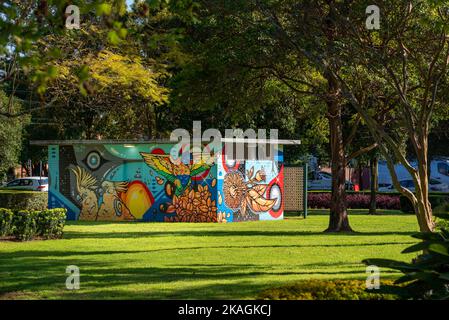 Commissioned street art by PHibs has turned what was an unsightly public toilet block into a colourful and substantial artwork in Mascot Memorial Park Stock Photo