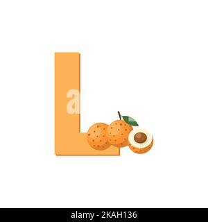 Letter L Alphabet Fruits Longan, Clip Art Vector, Illustration Isolated on a white background Stock Vector
