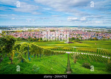 Germany, Fellbach city skyline vineyard panorama view autumn season above roofs houses tower at sunset Stock Photo
