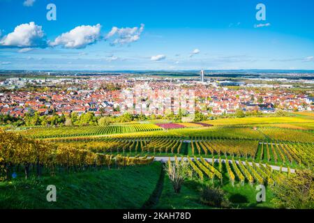 Germany, Fellbach skyline city vineyard panorama view autumn season above roofs houses tower at sunset light Stock Photo