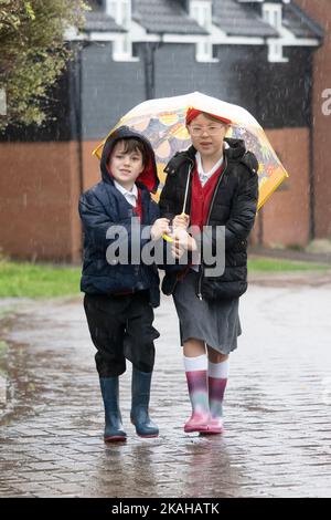 Haverhill, Suffolk, UK. 3rd November 2022. Albert Mitchell 5, and Ivy Mitchell, 7 try to keep dry as they head to school in the heavy rain this morning. Credit: Headlinephoto/Alamy Live News. Stock Photo