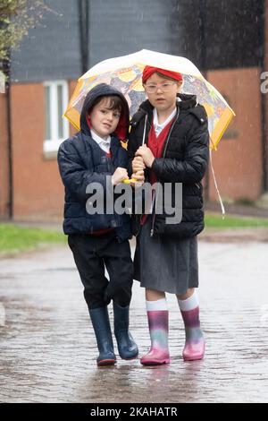 Haverhill, Suffolk, UK. 3rd November 2022. Albert Mitchell 5, and Ivy Mitchell, 7 try to keep dry as they head to school in the heavy rain this morning. Credit: Headlinephoto/Alamy Live News. Stock Photo