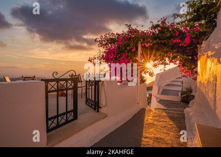 Summer sunset vacation scenic of luxury famous Europe destination. White architecture in Santorini, Greece. Stunning travel scenery with pink flowers Stock Photo