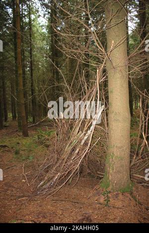 farm land woods and church's Stock Photo