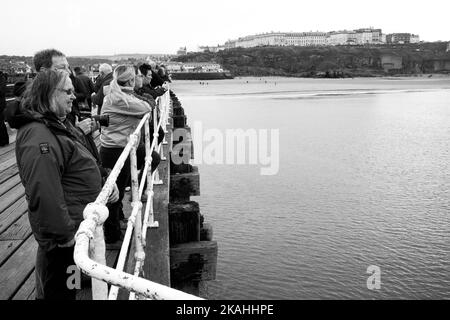 People looking out over the bay at Whitby in the hope of seeing porpoises Stock Photo