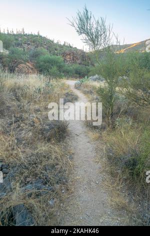 Hikers In Sabino Canyon Recreation Area, Tucson, Arizona Stock Photo 