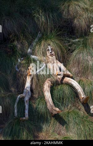 Land-Art course: The Balconies of Aigoual. Work by Fabrice Pressigout: Lying in the grass. Mont Aigoual, Gard, Occitanie. Stock Photo