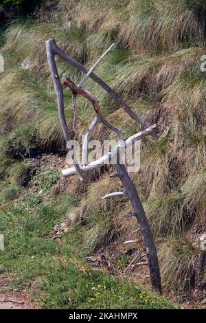 Land-Art course: The Balconies of Aigoual. Work by Fabrice Pressigout: Lying in the grass. Mont Aigoual, Gard, Occitanie. Stock Photo