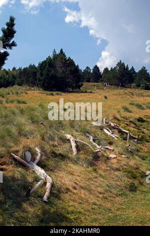 Land-Art course: The Balconies of Aigoual. Work by Fabrice Pressigout: Lying in the grass. Mont Aigoual, Gard, Occitanie. Stock Photo