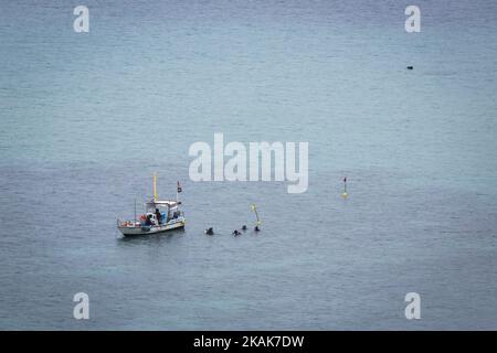 Defense Bureau of Okinawa Prefecture surveys the seabed as they begin relocation construction of the new U.S. Air Base in Henoko Camp Schwab in Nago, Okinawa Prefecture, Japan on January 10, 2017. The U.S. military resumed aerial refueling drills for Osprey aircraft in Okinawa Prefecture on Friday, Defense Minister Tomomi Inada said amid local protests. (Photo by Richard Atrero de Guzman/NURPhoto) (Photo by Richard Atrero de Guzman/NurPhoto) *** Please Use Credit from Credit Field *** Stock Photo