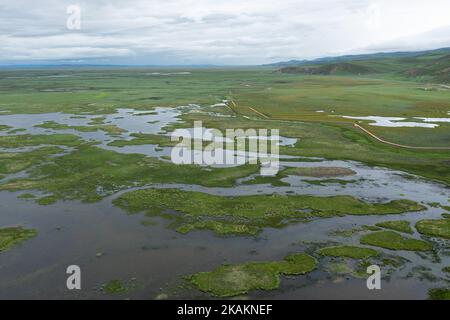(221103) -- ABA, Nov. 3, 2022 (Xinhua) -- This aerial photo taken on Aug. 15, 2022 shows a view of the wetland in Maixi Township, Ruoergai County of Aba Tibetan-Qiang Autonomous Prefecture, southwest China's Sichuan Province. The Ruoergai Wetland National Nature Reserve is established to protect local peat swamp ecosystem and rare species such as the black-necked crane. Noted for vast grassland dotted with winding rivers, lakes and swamps, this nature reserve became one at the national level in 1998, and was designated as a wetland of international importance in 2008.   The ecological environm Stock Photo