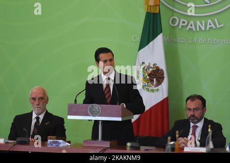 President of Mexico Enrique Pena Nieto is seen in his speech (C) Brazilian Ambassador Luiz Felipe de Macedo Soares (L) and Luis Videgaray (R) during the 25th Session of the General Conference of the Agency for the Prohibition of Nuclear Weapons in Latin America and the Caribbean at Foreign Affairs Building on February 14, 2017 in Mexico City, Mexico, (Photo by Carlos Tischler/NurPhoto) *** Please Use Credit from Credit Field *** Stock Photo